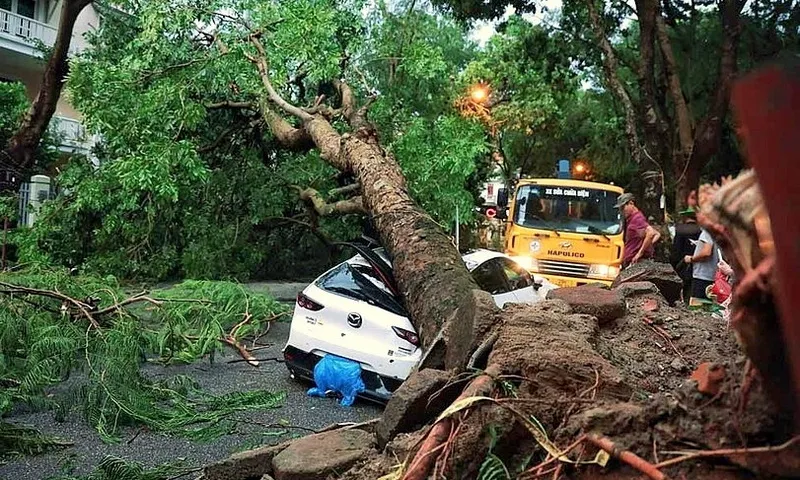 Các công ty bảo hiểm bắt đầu chi trả cho khách hàng thiệt hại do bão số 3