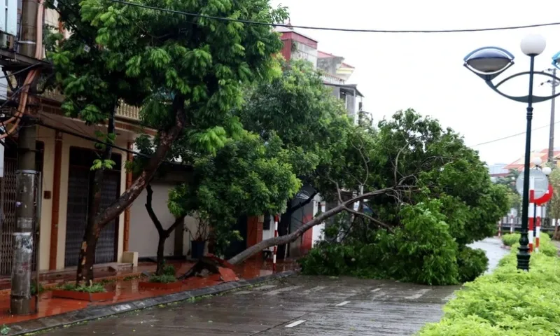 Tin giả về vỡ đê ở Hải Dương gây hoang mang: Chính quyền bác bỏ