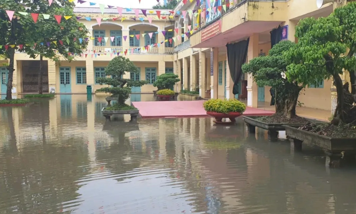 Bộ GDundefinedĐT: Kiểm tra trường lớp, cây xanh, ngừng cho học sinh đến trường nếu mất an toàn