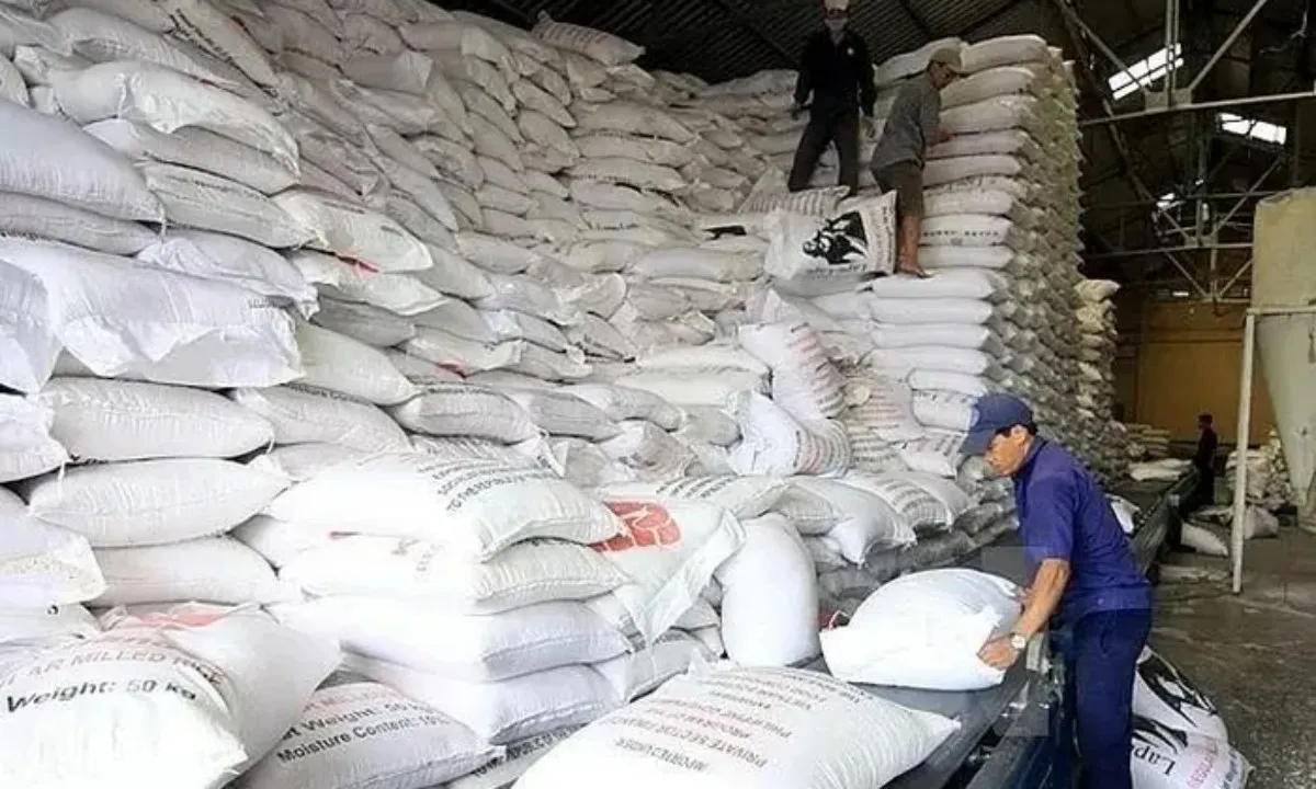 Xuất cấp 200 tấn gạo hỗ trợ 14 địa phương bị ảnh hưởng bão số 3