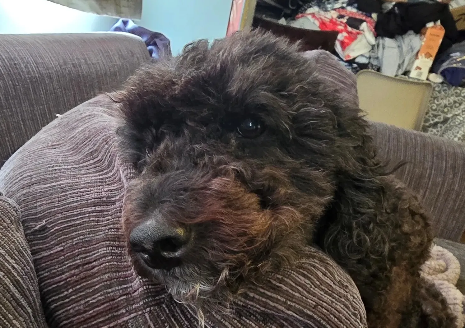 gwg-1725957947907-17259579479981