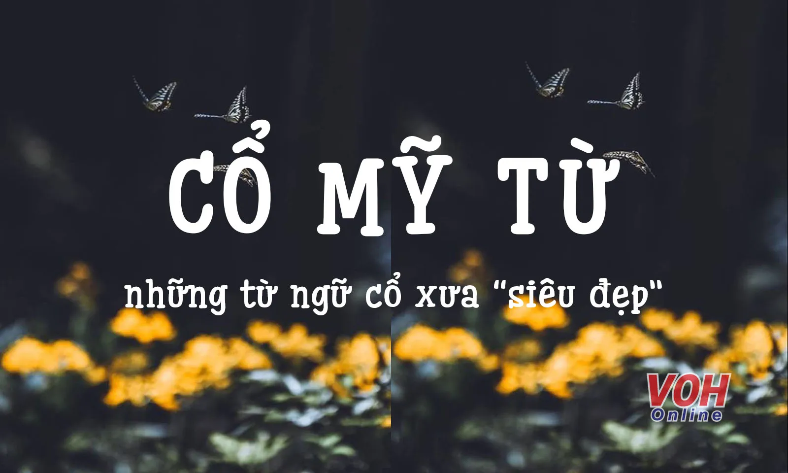 Cổ mỹ từ là gì? Cổ mỹ từ và từ cổ liệu có giống nhau?
