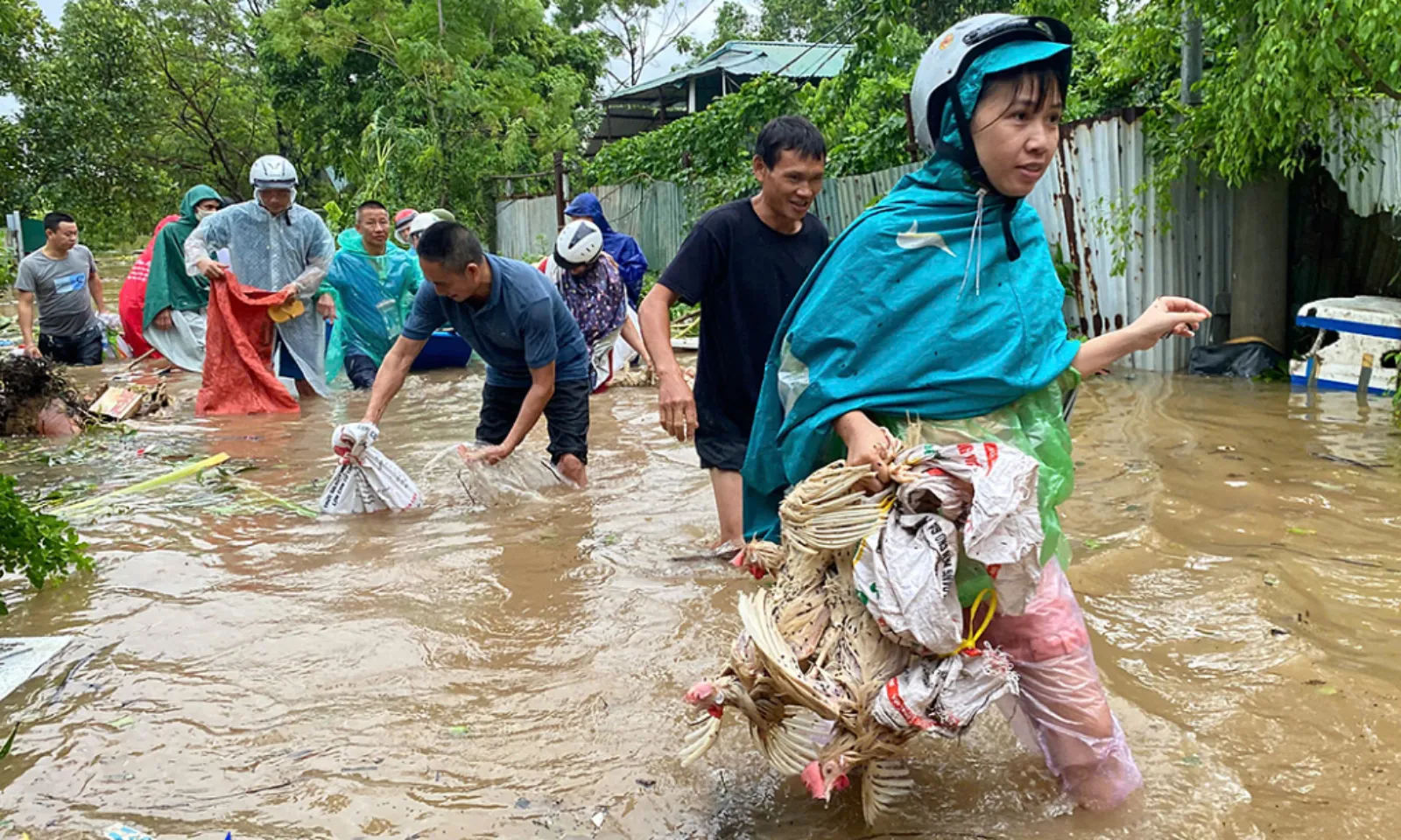 Nguy cơ ngộ độc thực phẩm từ việc dùng gia cầm chết chế biến