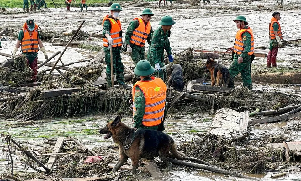 Lũ quét Làng Nủ: 43 người thiệt mạng | 650 người đang tìm kiếm 52 nạn nhân mất tích