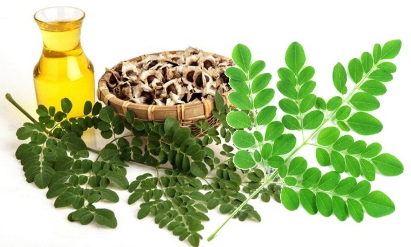 Các loại lá chữa tiểu đường hiệu quả