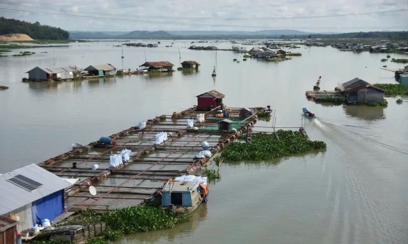 Daong Nai La Nga 2024