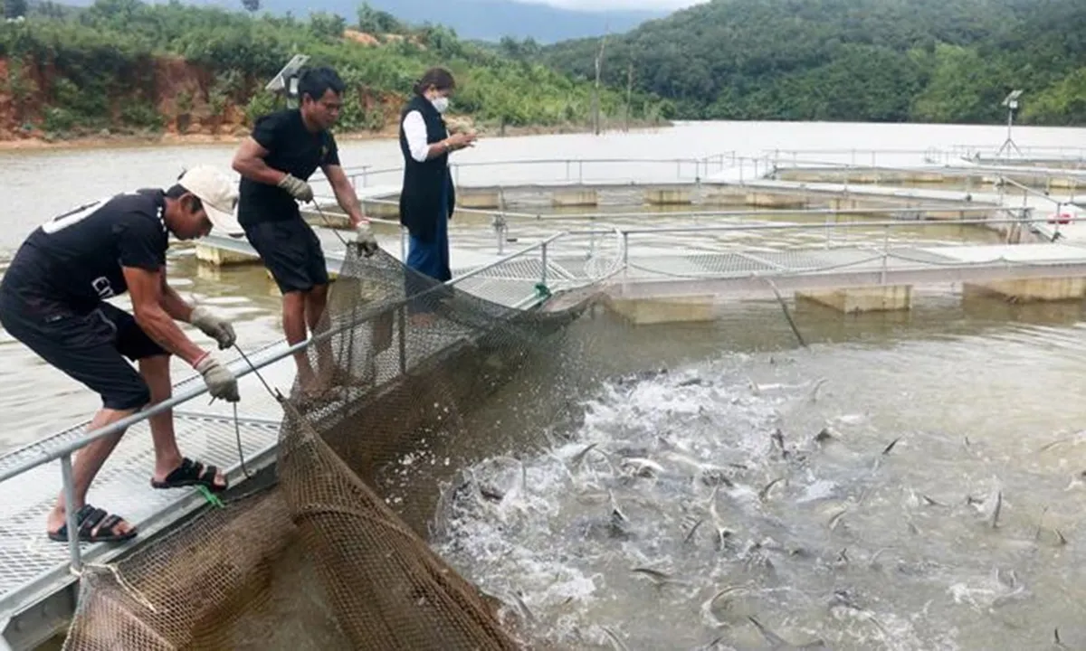 Tin phát triển bền vững ngày 16/9: Giảm phát thải và phát triển xanh trong chăn nuôi và thủy sản