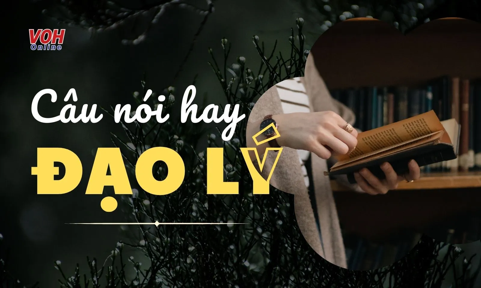 Những câu đạo lý hay về cuộc sống và cách làm người cực “thấm”