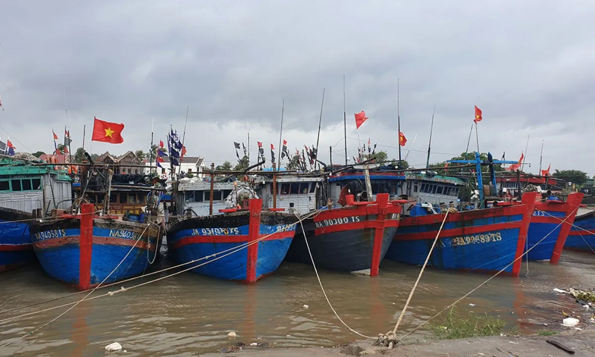 Đà Nẵng: 68 tàu thuyền và hàng trăm lao động đang trên biển ngay đường đi của áp thấp nhiệt đới