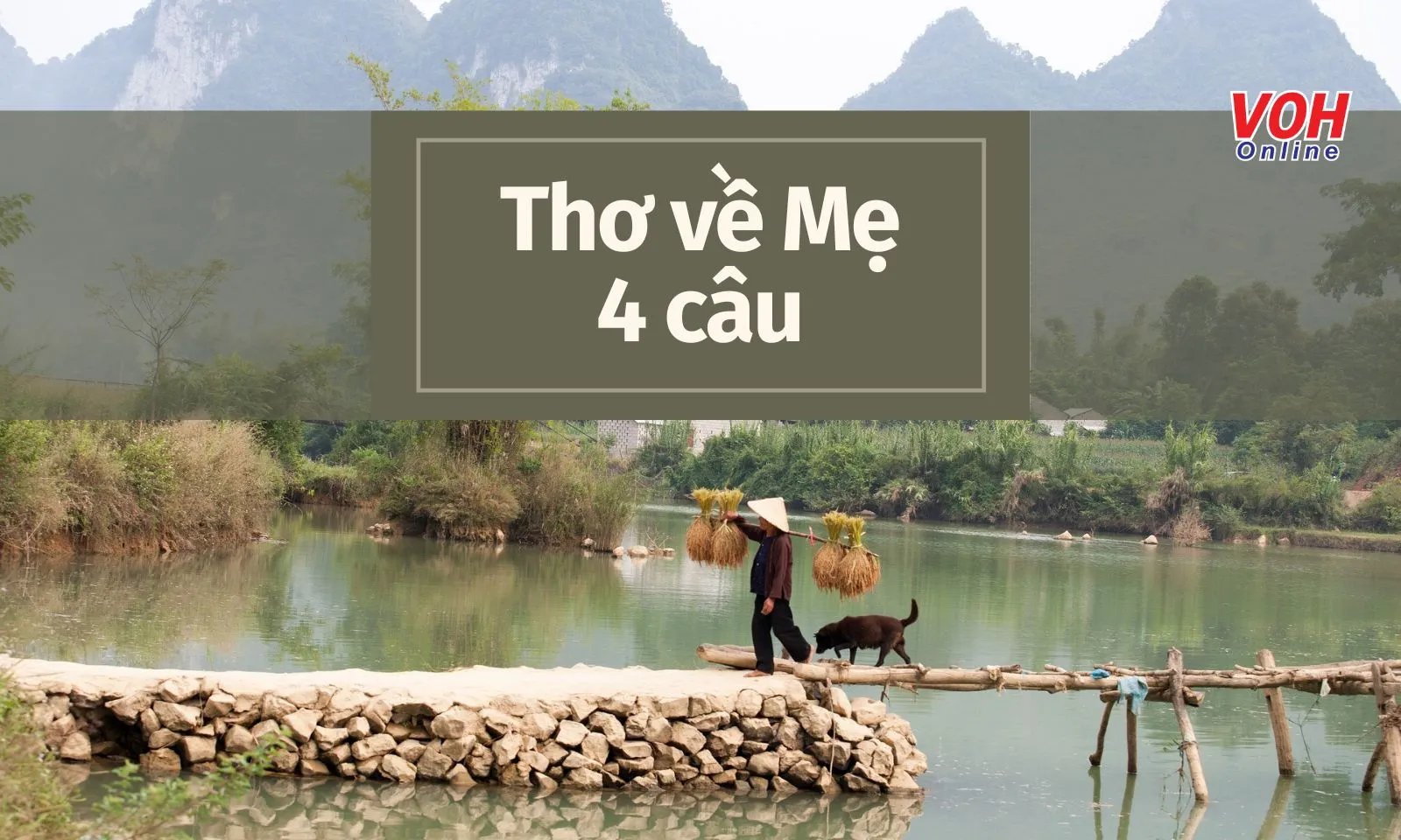 Thơ về mẹ 4 câu, thơ lục bát 4 câu hay về mẹ