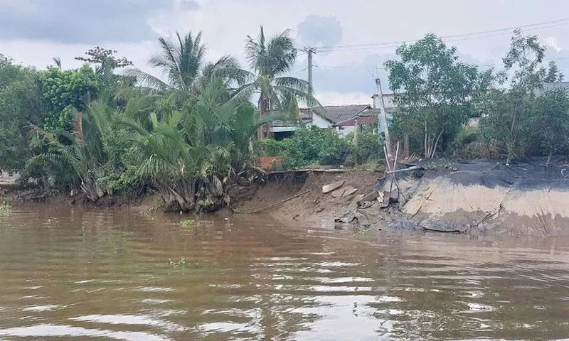 Long An: Công bố tình huống sạt lở khẩn cấp bờ sông Kênh Hàn