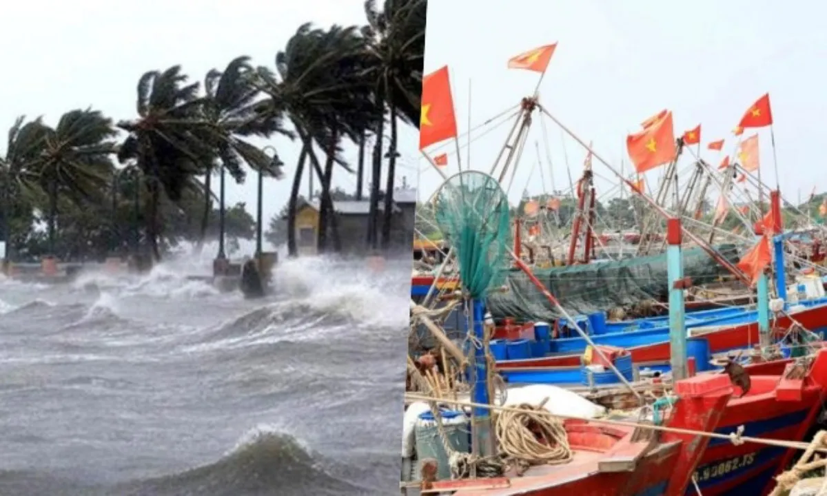 Điểm tin trưa 18/9: Cảnh báo mưa to, lũ quét sạt lở ở Trung Bộ | Ngư dân hối hả đưa thuyền lên bờ