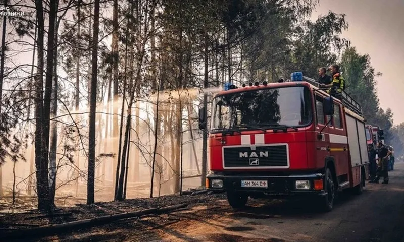 Phóng xạ tăng cao sau cháy rừng khu vực gần nhà máy Chernobyl