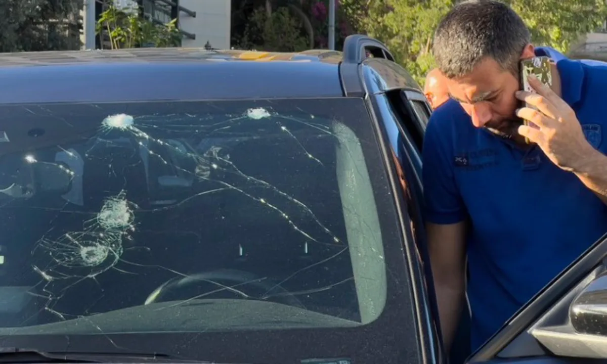 ap24261545215049-1168