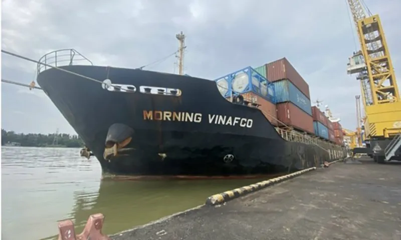 Yêu cầu cấp thông tin 10 tấn pin xuống biển có tác hại môi trường hay không?