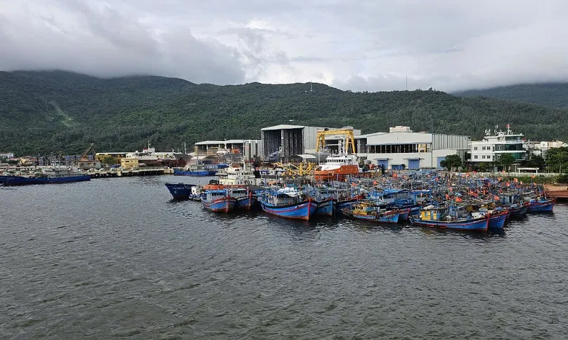 tàu neo đậu tại Âu thuyền Thọ Quang Đà Nẵng