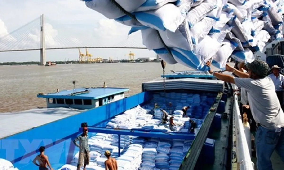 Biến động chính sách của các quốc gia lớn, liệu gạo Việt có giữ vững kỷ lục xuất khẩu?