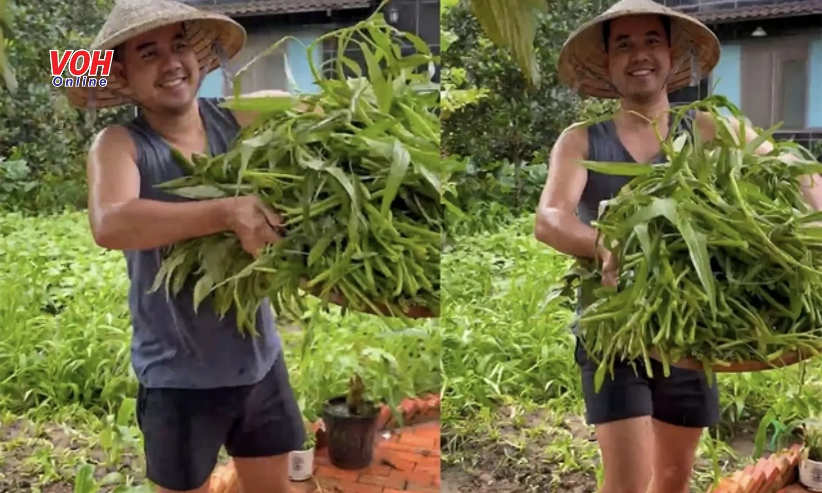 Anh chàng miền Tây trồng rau tặng miễn phí cho bà con