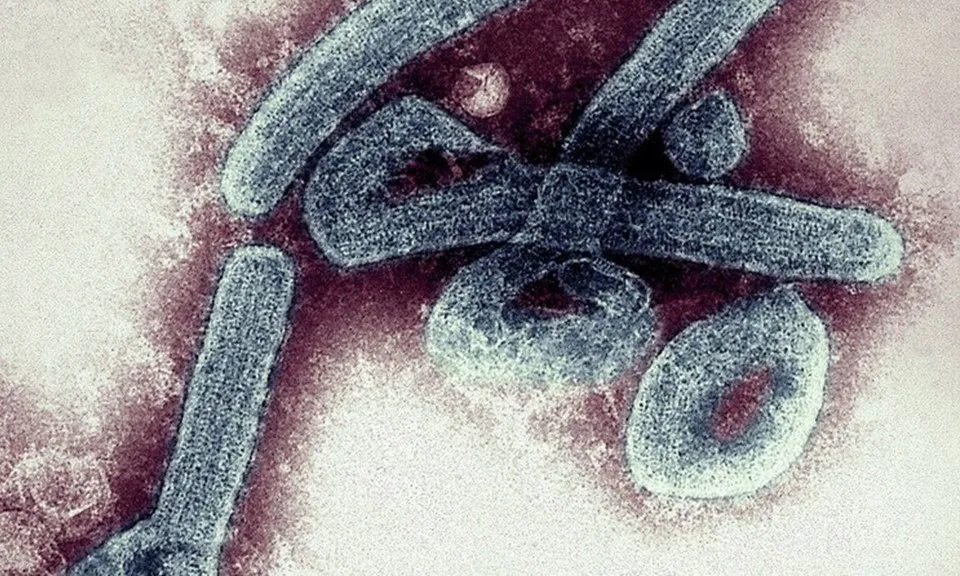 Rwanda ghi nhận 6 ca tử vong do virus Marburg