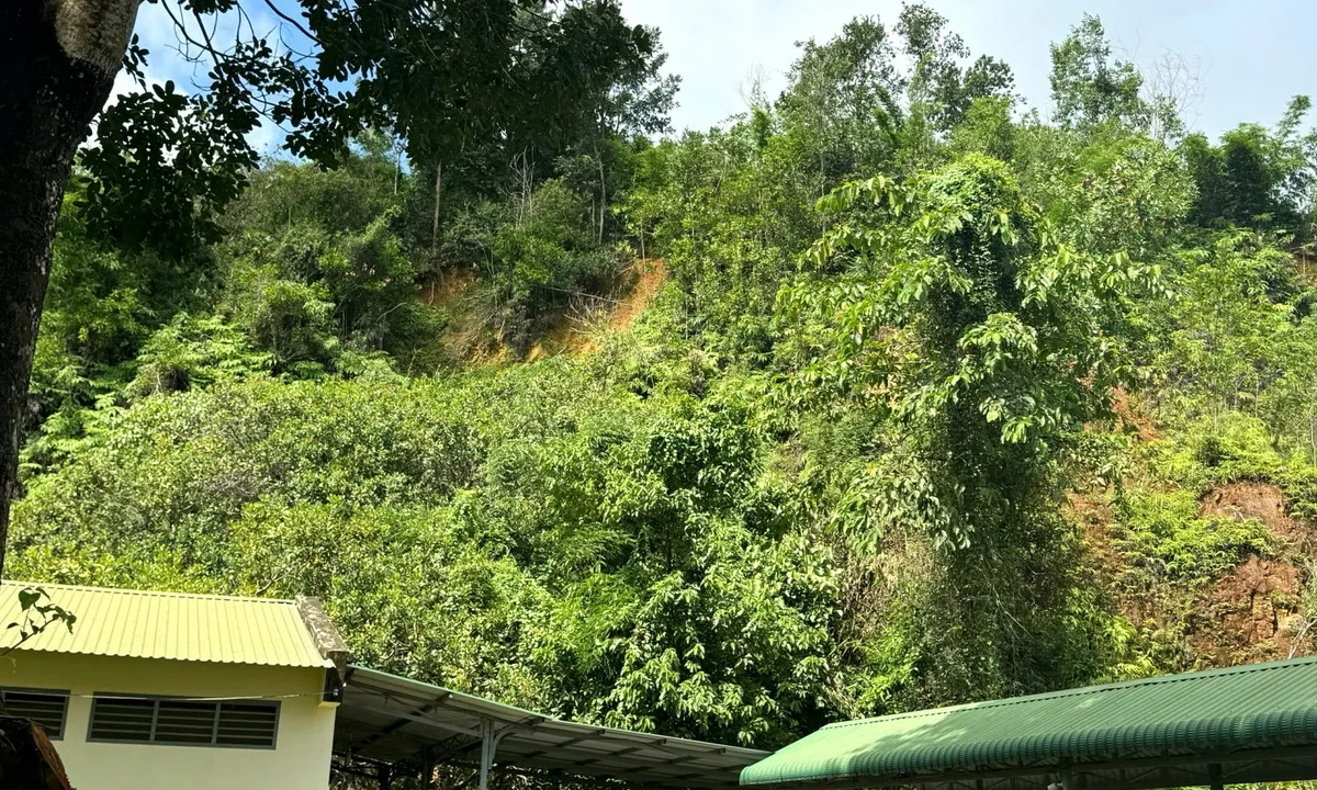 Lâm Đồng đề xuất dự án gần 8 tỷ đồng hạ tải trọng đồi đất tại Đạ Tẻh