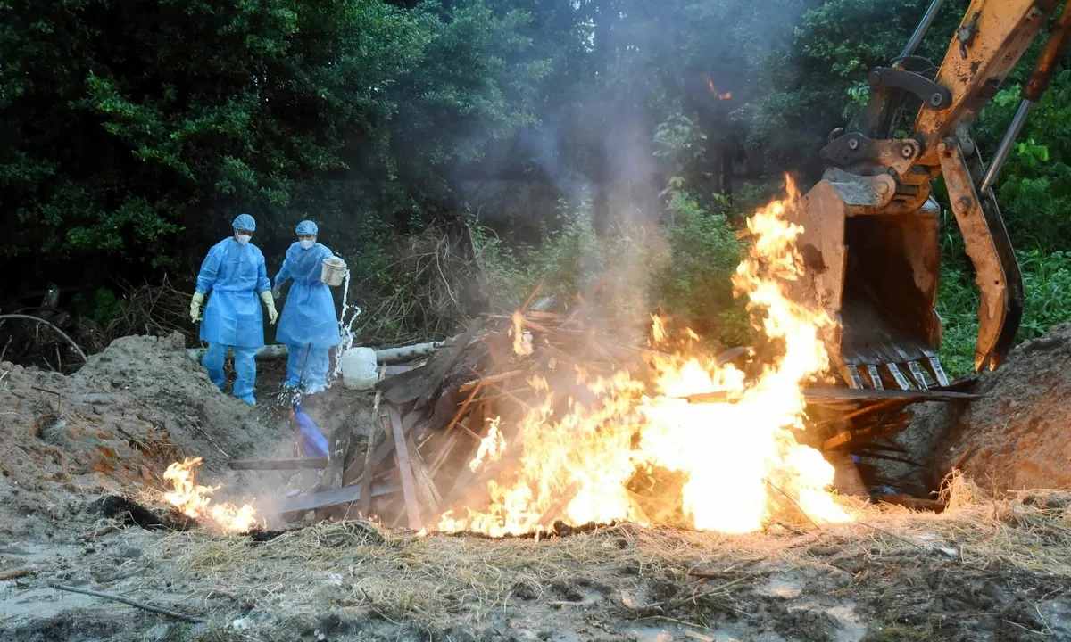 51 con hổ, báo, sư tử chết hàng loạt vì cúm A/H5N1: Truy nguồn gốc thức ăn