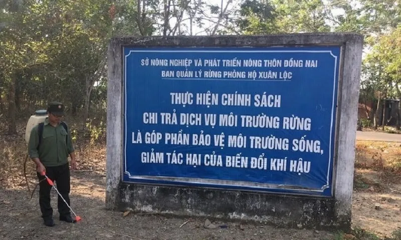 bql rừng phòng hộ xuân lộc