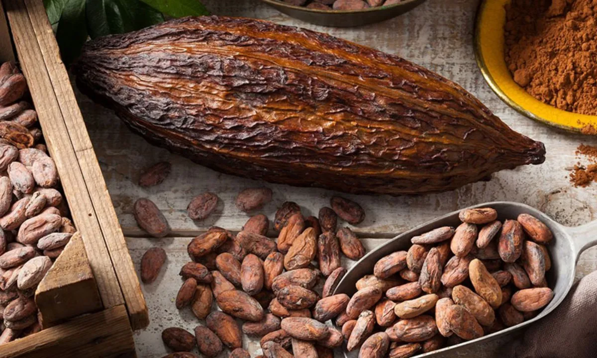 Giá ca cao tăng mạnh nhưng khan hàng, áp lực doanh nghiệp bánh kẹo