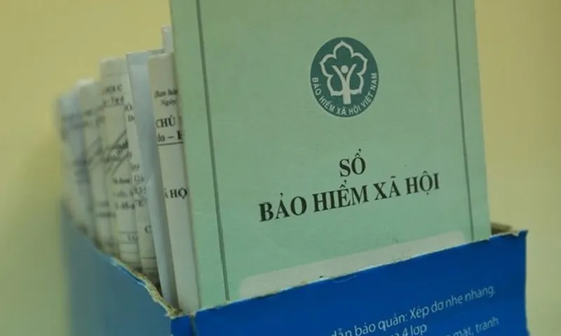 Đề xuất phương án giải quyết cho chủ hộ kinh doanh bị thu bảo hiểm xã hội trái luật