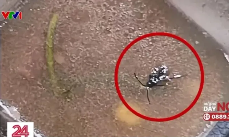 Phó Thủ tướng yêu cầu xử lý vụ sinh viên ăn cơm canh thừa, có “dị vật 