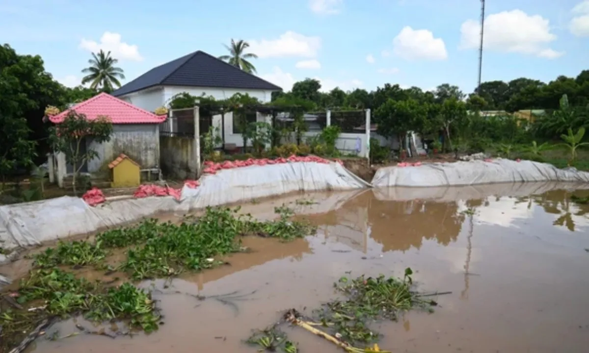 Đồng Tháp công bố tình huống khẩn cấp sạt lở bờ sông Tiền
