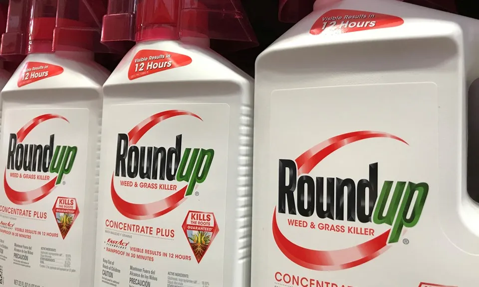 Bayer phải đền bù 78 triệu đô la cho 1 khách hàng bị ung thư do sử dụng thuốc diệt cỏ Roundup