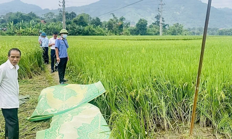 Khởi tố người đàn ông kéo đường dây điện, khiến điện rò rỉ, vô ý làm chết người