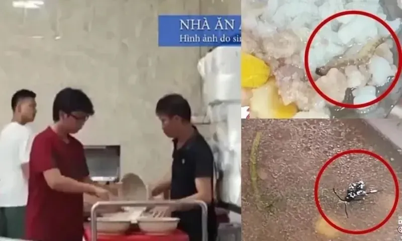 Vụ sinh viên ăn cơm canh thừa: Bộ GDundefinedĐT ra công văn khẩn