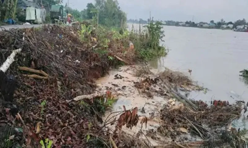 An Giang Sạt lờ bờ sông Hậu do mưa lũ