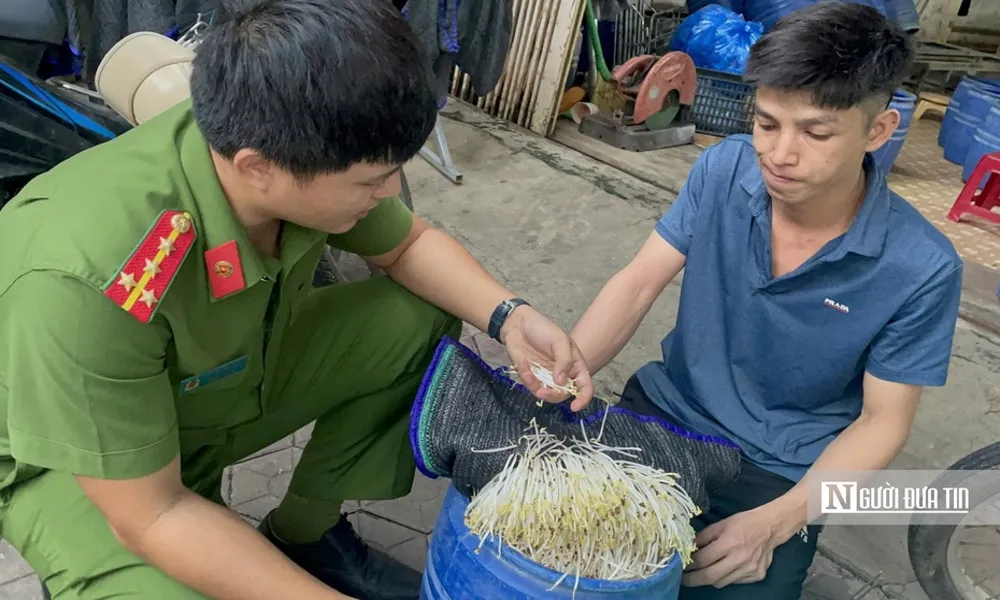 Bắt quả tang cơ sở giá đỗ sử dụng hóa chất cấm