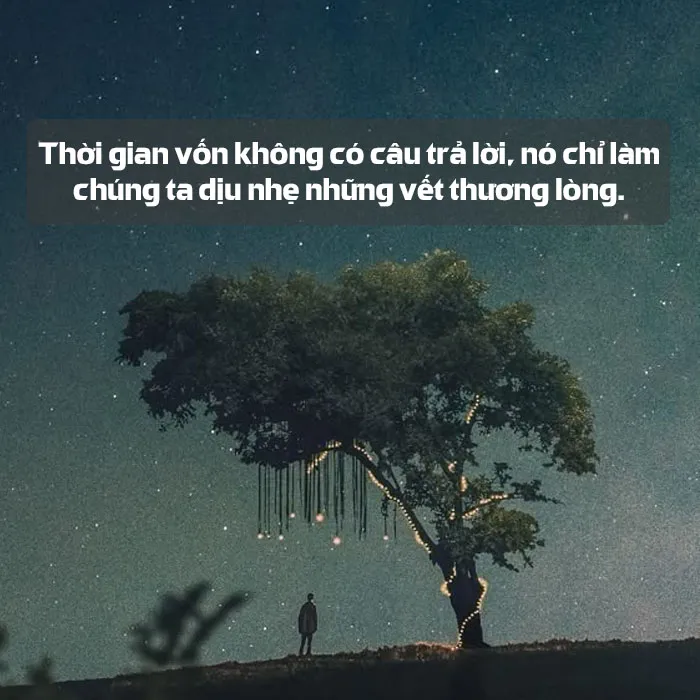 113 câu nói lay động lòng người chứa đựng ý tình nồng đượm