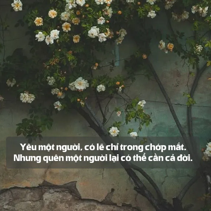 voh-cau-noi-lay-dong-long-nguoi