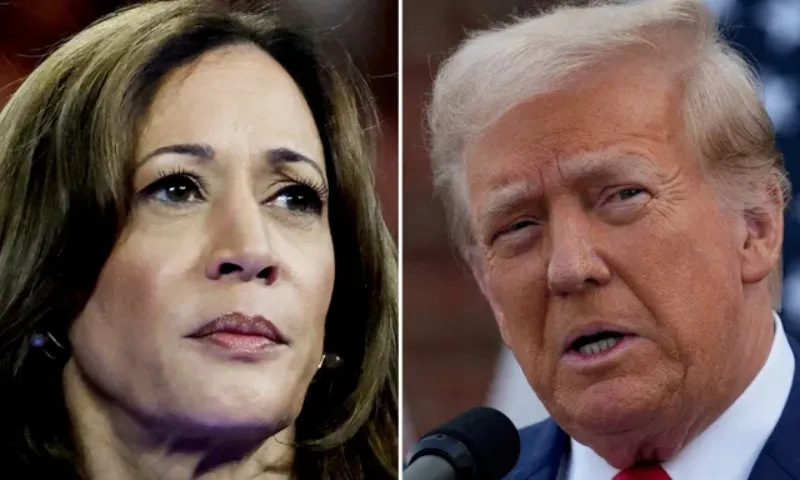 Bầu cử Mỹ: Bà Kamala Harris giảm ưu thế trước ông Donald Trump? 