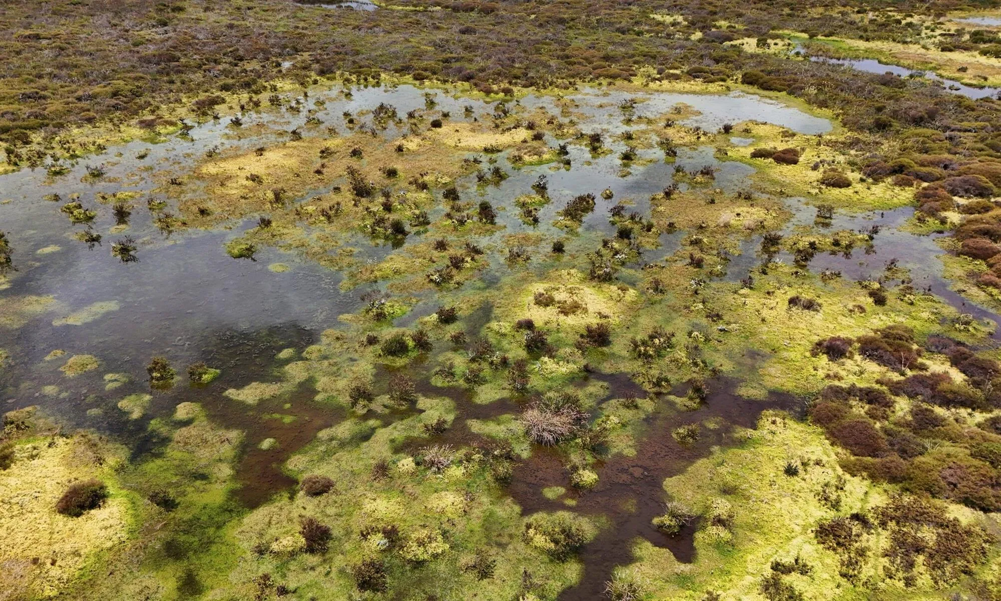 Colombia (1)