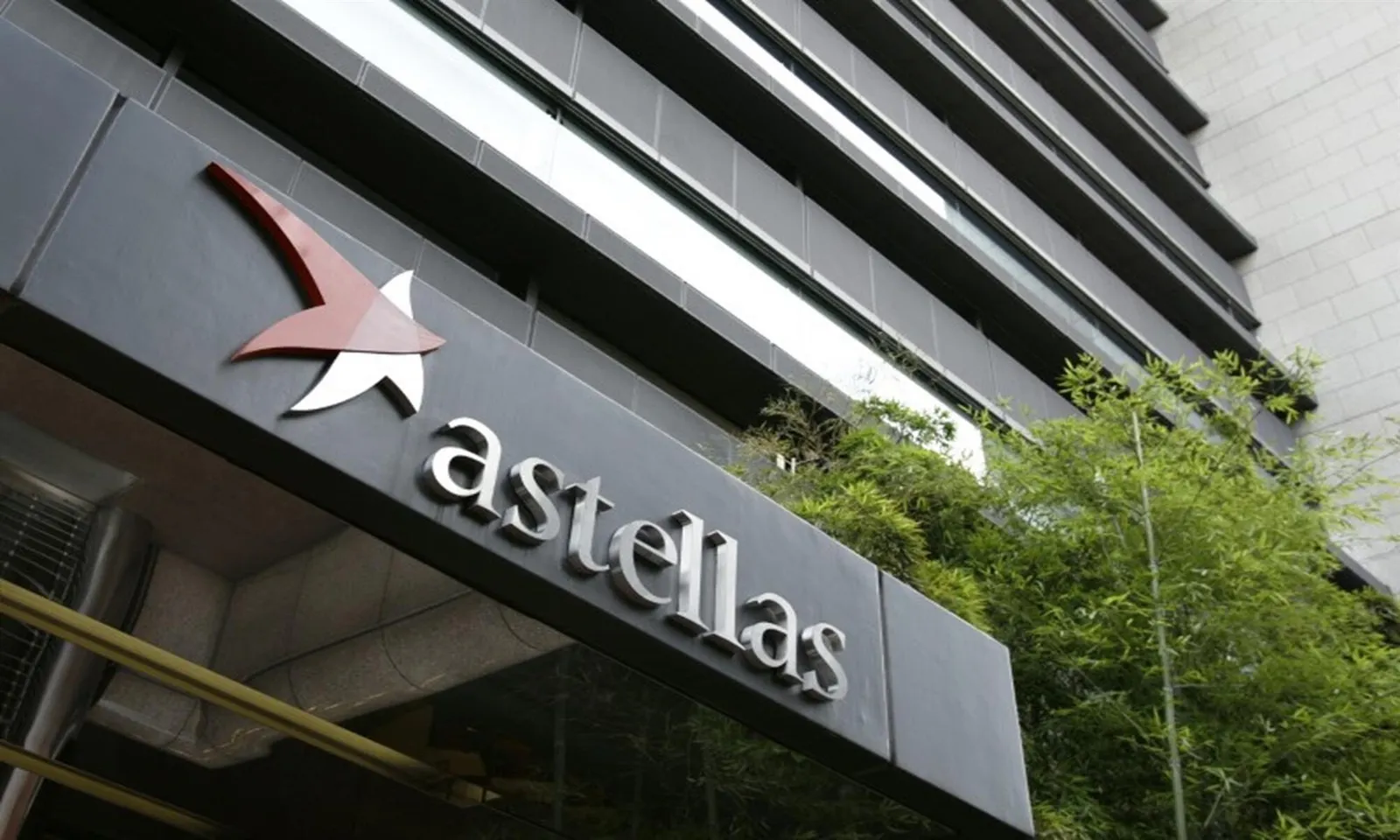 FDA phê duyệt thuốc điều trị ung thư dạ dày của Astellas