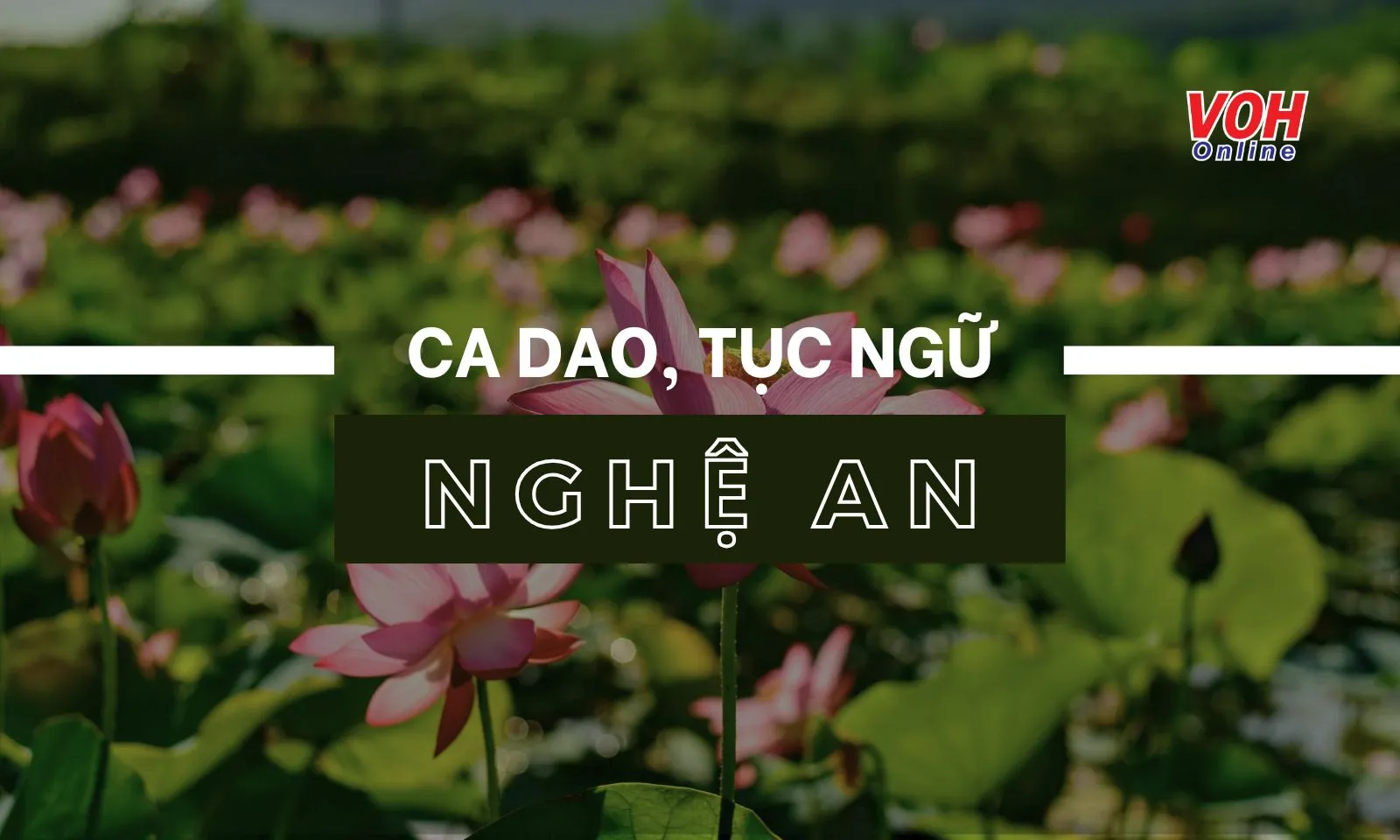 Tổng hợp ca dao, tục ngữ về Nghệ An