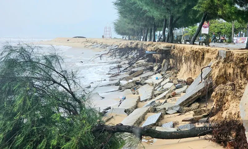 Tại bãi tắm xã Phú Thuận, sóng biển mạnh gây sạt lở nghiêm trọng, ăn sâu vào đất liền khoảng 50m, có nơi ăn sâu khoảng 100m