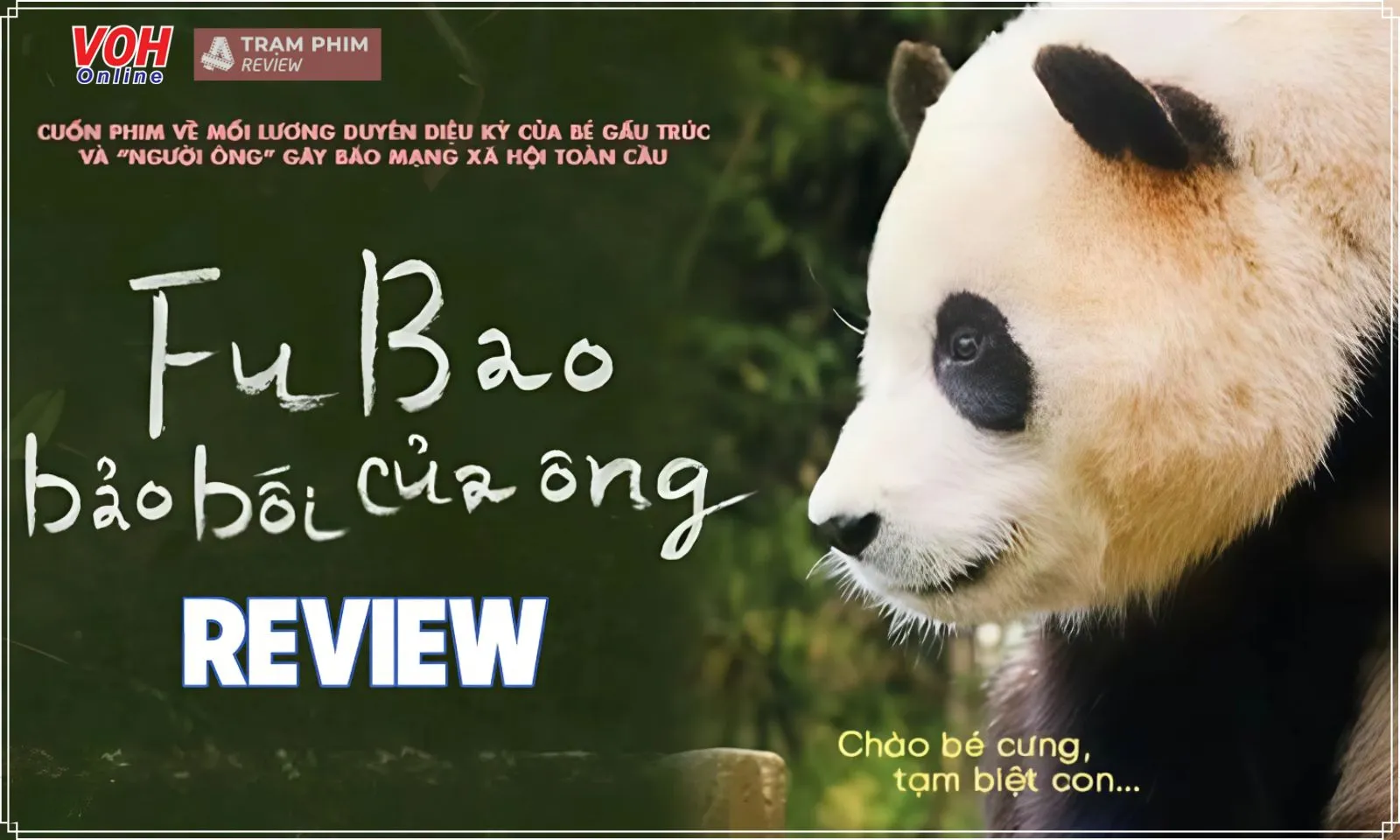 Review Fubao: Bảo Bối Của Ông: những đoạn tình cảm đẫm nước mắt