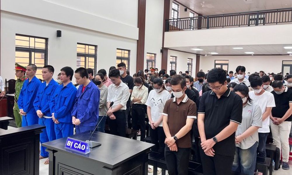 Truy tố đường dây làm giả chứng chỉ ở An Giang