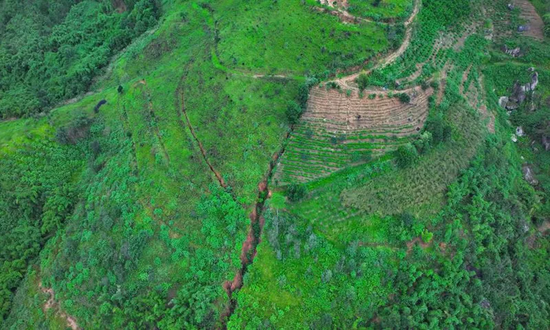 Một vết nứt lớn xuất hiện như tách đôi cả quả đồi ở xã Lộc Tân, huyện Bảo Lâm.