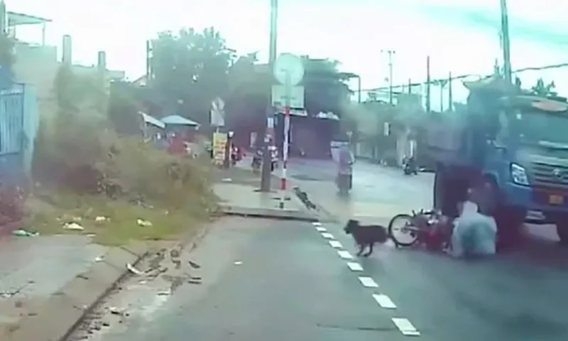 Chó thả rông làm 2 người chạy xe máy ngã suýt mất mạng