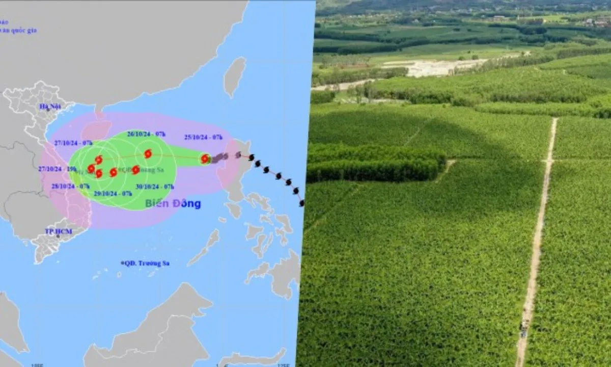 Điểm tin trưa 25/10: Bão Trà Mi ngoặt ra biển, suy yếu | TPHCM quy định hạn mức giao đất nông nghiệp