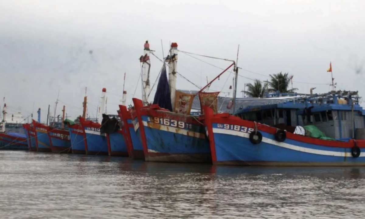 mien-trung-tap-trung-ung-pho-bao-tra-mi_671b081f92c20