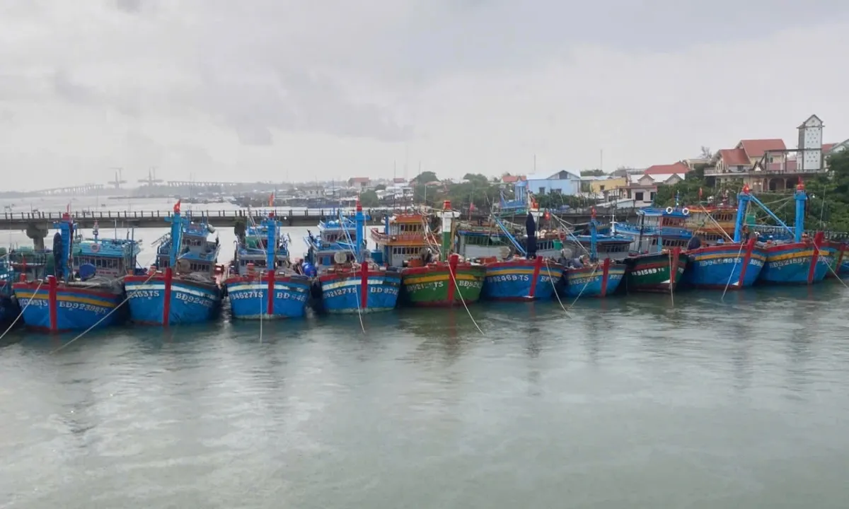 Các tỉnh miền Trung kêu gọi tất cả tàu thuyền vào bờ tránh bão Trà Mi