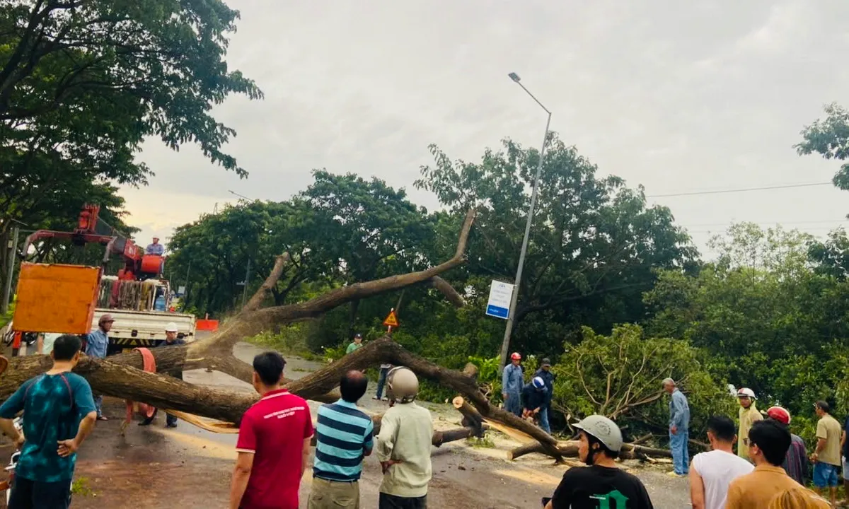 Chiều 27/10, mưa lớn kèm gió lốc khiến cây lớn bật gốc, giao thông trên QL51 ùn tắc nghiêm trọng